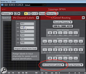 Naming the SPAN Plus input channels and choosing appropriate group names makes this process much more intuitive.