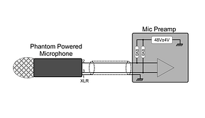 Triton Audio True Phantom technical diagram