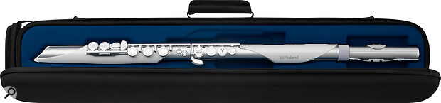 Roland Aerophone Brisa case