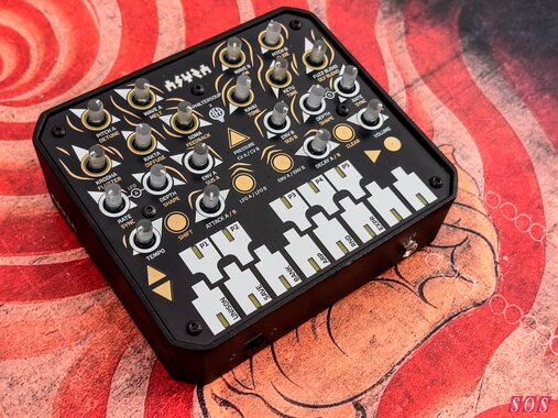 The Asura from Animal Factory Amps