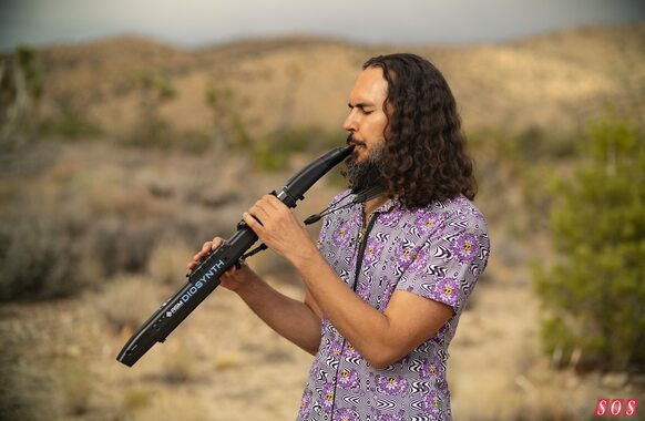 ASM Diosynth wind synthesizer sample synthesis hybrid instrument