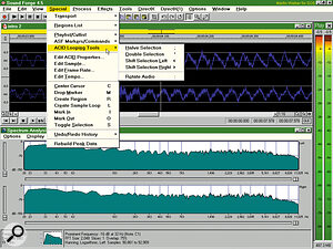 The latest update to Sound Forge 4.5 includes Spectrum Analyser and Batch Converter tools, along with extra looping tools for applications such as Acid.