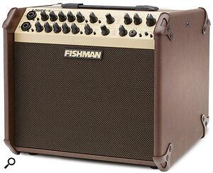 Some acoustic instrument amplifiers have more in common with PA systems than guitar amps. Fishman’s Loudbox series, for example, feature multiple microphone inputs and built‑in effects, making them suitable for monitoring, or even as a standalone backup system.