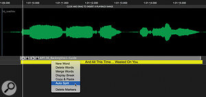 It’s possible to paste whole sentences or lyric sheets and use the Autosplit function to separate the resulting Marker into individual words — multiple Marker tracks can be displayed for different purposes.