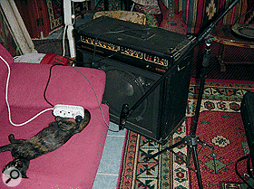 The bass cab was positioned in the lounge, away from the main studio, and pointed towards the sofa to reduce reflections.