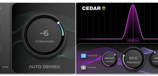 CEDAR Icons Auto Dehiss and Debuzz