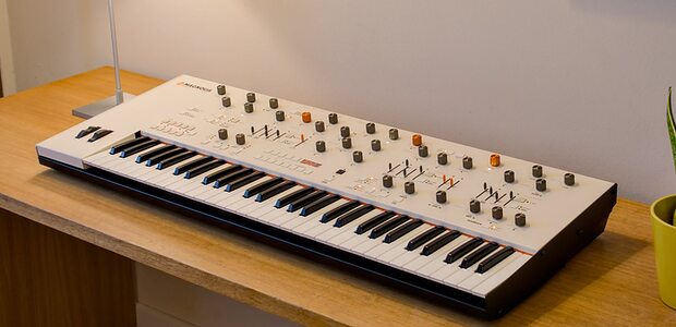 Frap Tools Magnolia eight-voice polyphonic analogue FM synthesizer