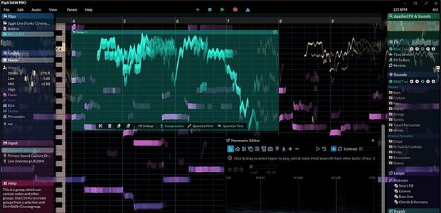 Hit'n'Mix RipX DAW Pro 8