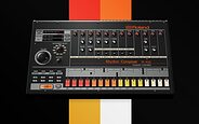 Roland 808 Day 2026 TR-808 Rhythm Composer analogue drum machine