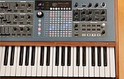 Arturia PolyBrute