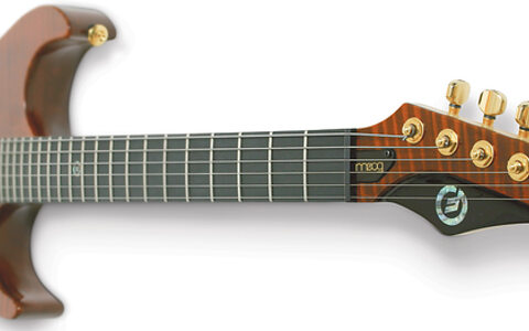 ギター Moog Moog Guitar Model E1 M - Red with 13-pin | Sweetwater