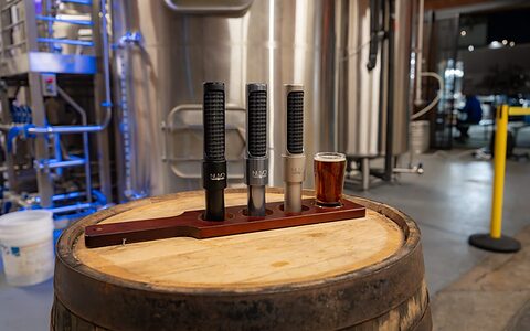 AEA Nuvo Flight N22 N13 N8 ribbon microphone kit