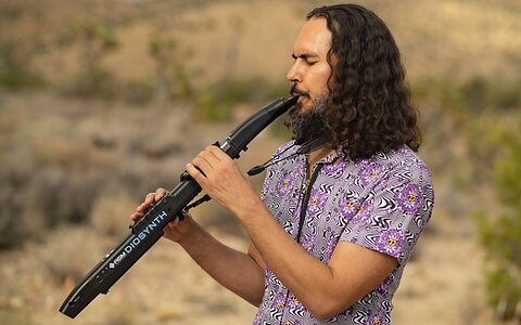 ASM Diosynth wind synthesizer sample synthesis hybrid instrument