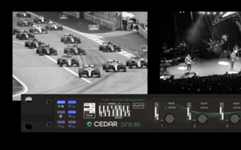 CEDAR Audio DNS 8S