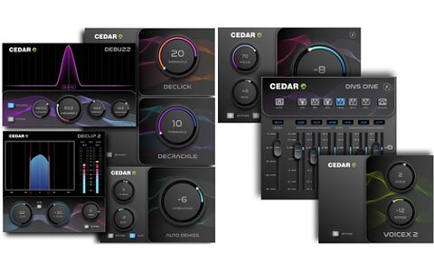 CEDAR Audio Icons Bundles audio restoration clean-up plug-ins