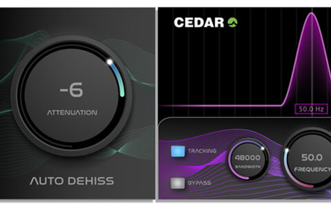 CEDAR Icons Auto Dehiss and Debuzz