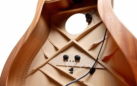 Gibson Baggs HiFi DNA acoustic guitar pickup system