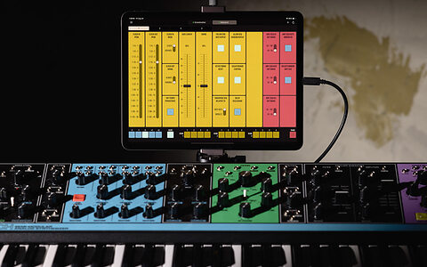 DIRE Studio Mother Global Settings Editor