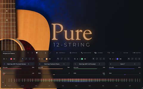 Sonora Cinematic Pure 12 String