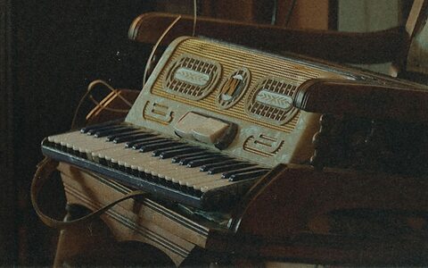 Spitfire Audio Hearth Hollow Folk Accordion sample library